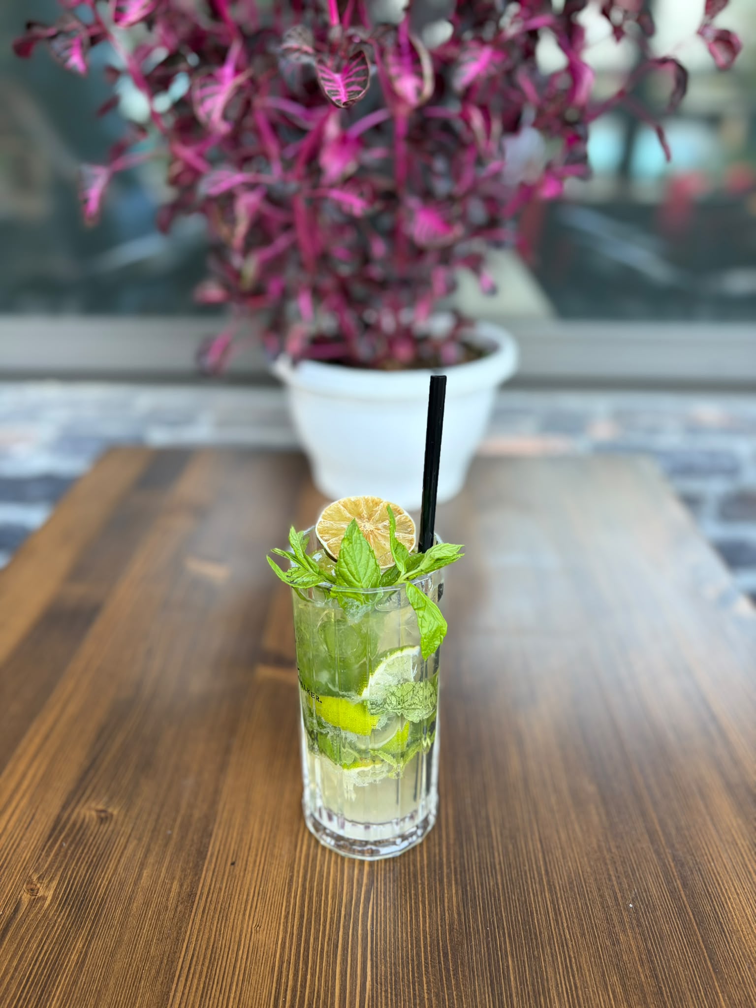 Mojito
